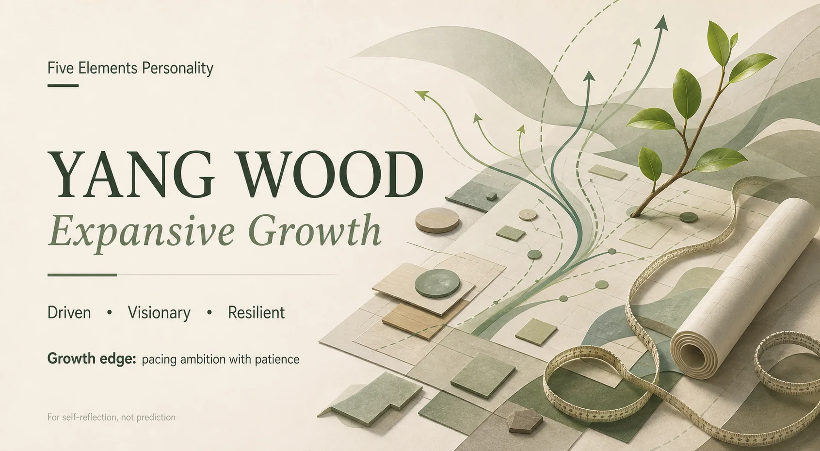 The Pioneer personality card with abstract objects representing the type's traits and growth edge
